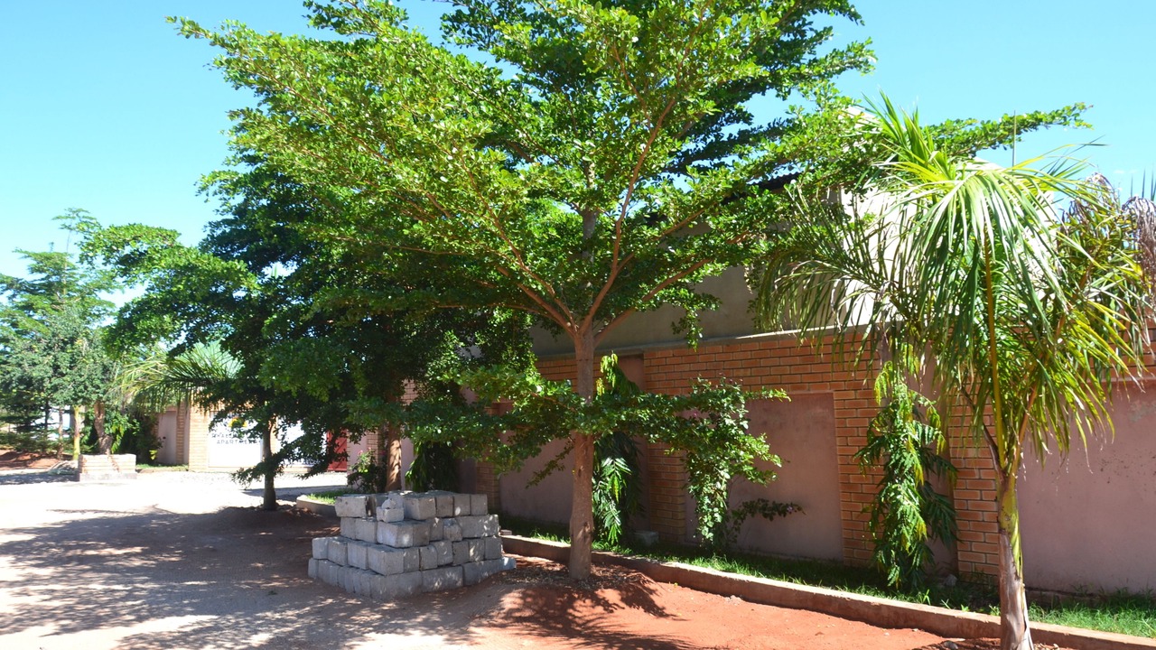 Photo of Outdoor in Livingstone