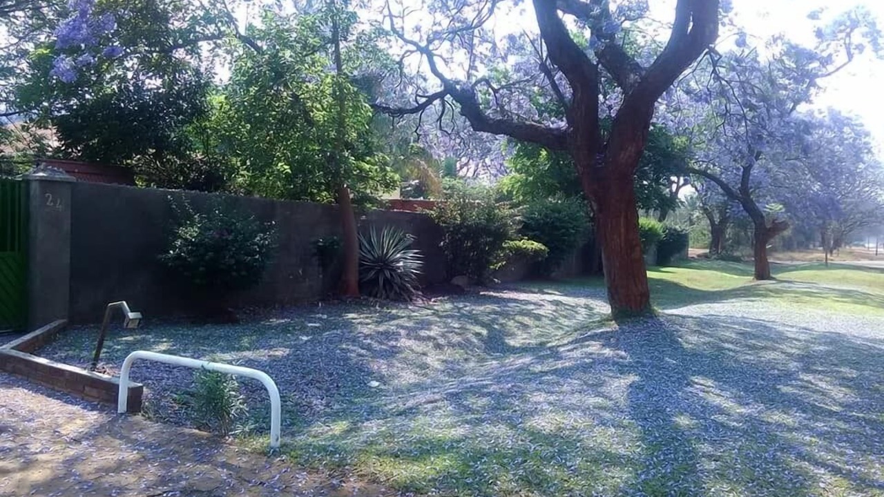 Photo of Outdoor in Bulawayo