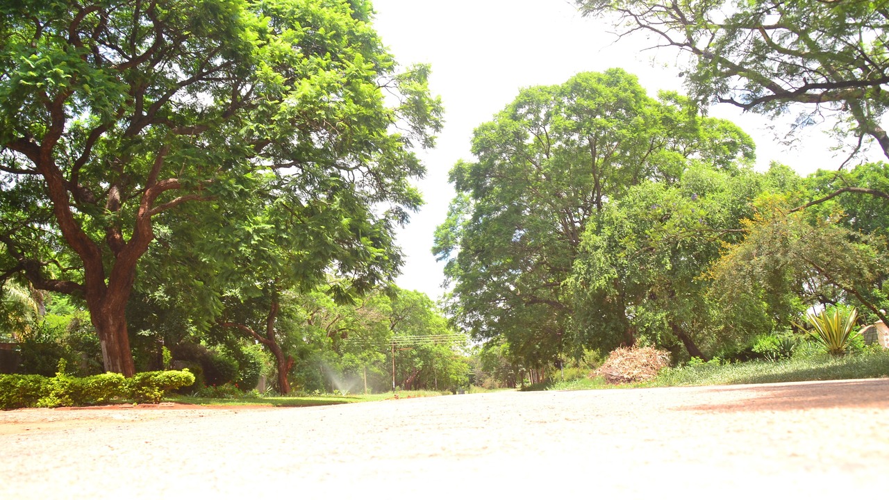 Photo of Outdoor in Bulawayo