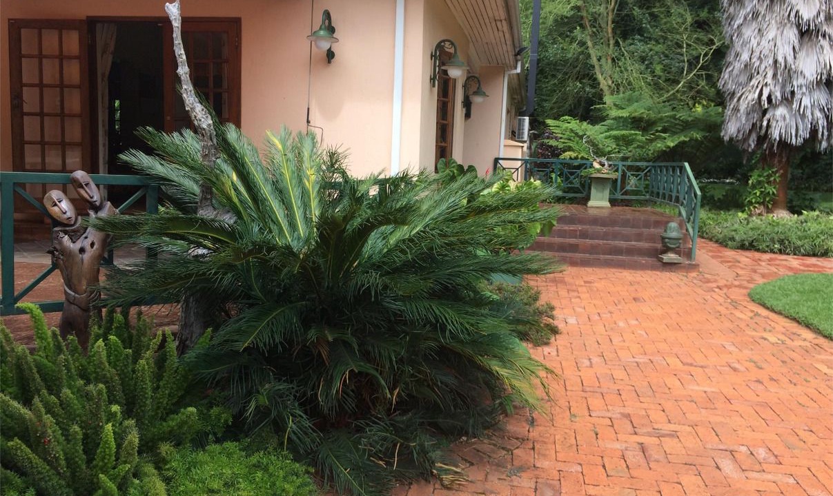 Photo of Outdoor in Harare