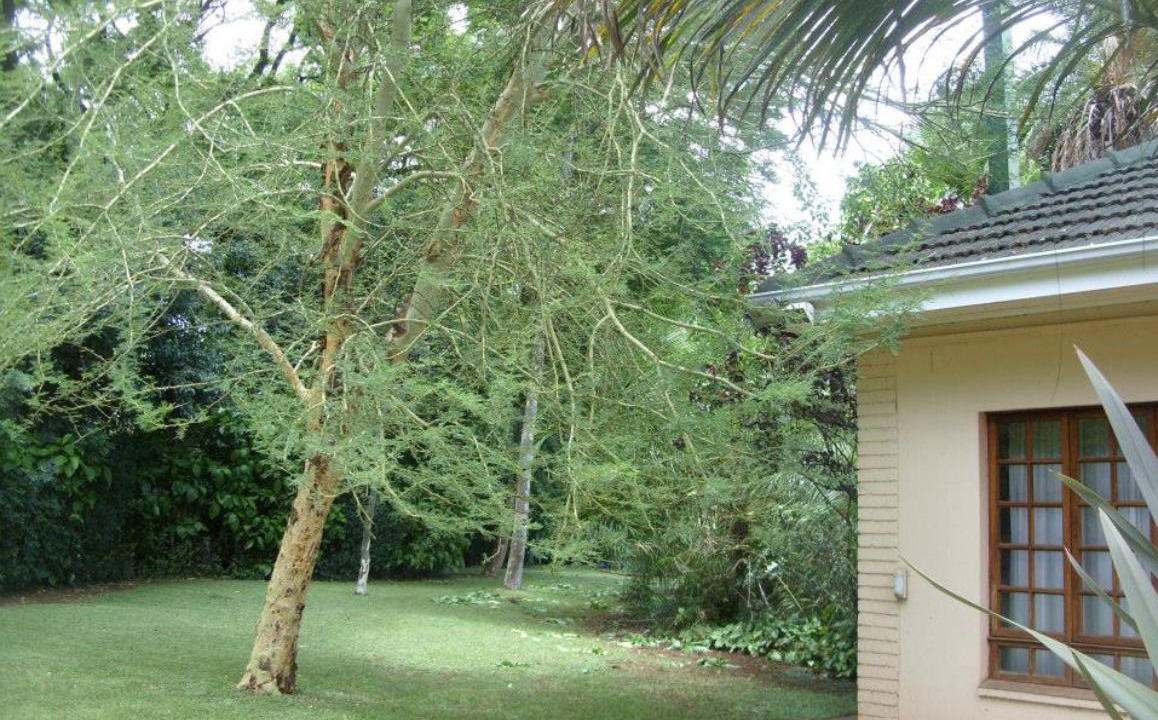 Photo of Outdoor in Harare
