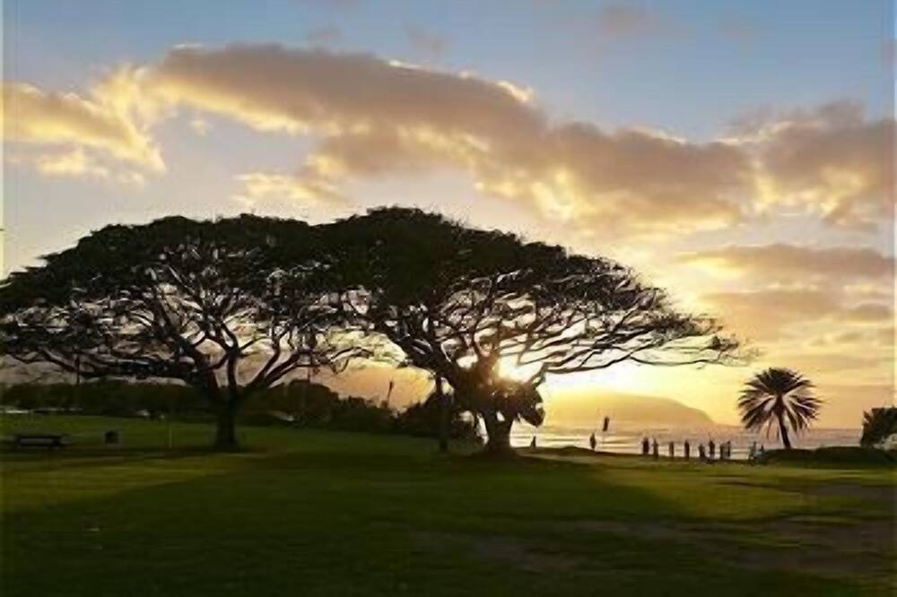 Photo of Others in Waialee