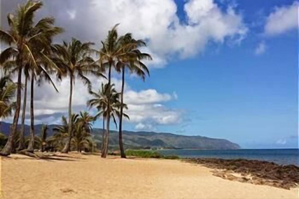 Photo of Others in Waialee
