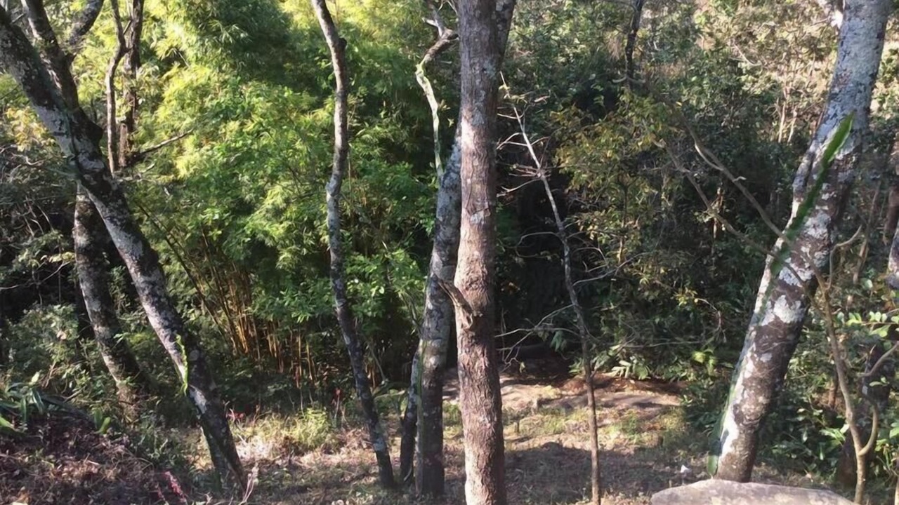 Photo of Outdoor in Mutare