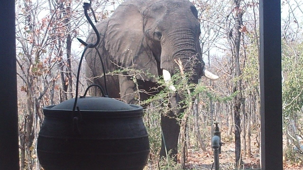 Photo of Outdoor in Kariba