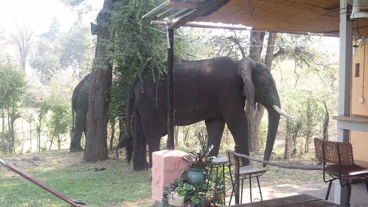 Photo of Outdoor in Kariba