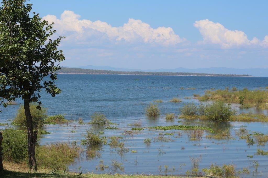 Photo of Others in Kariba