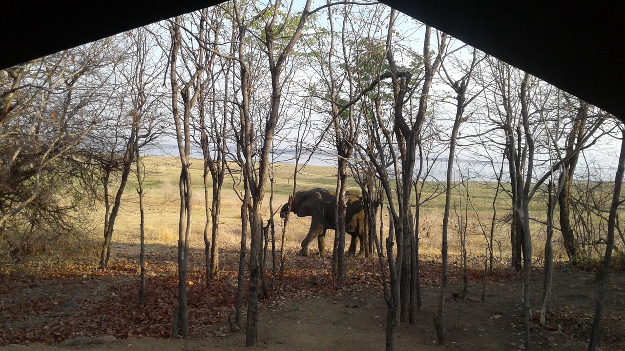 Photo of Others in Kariba