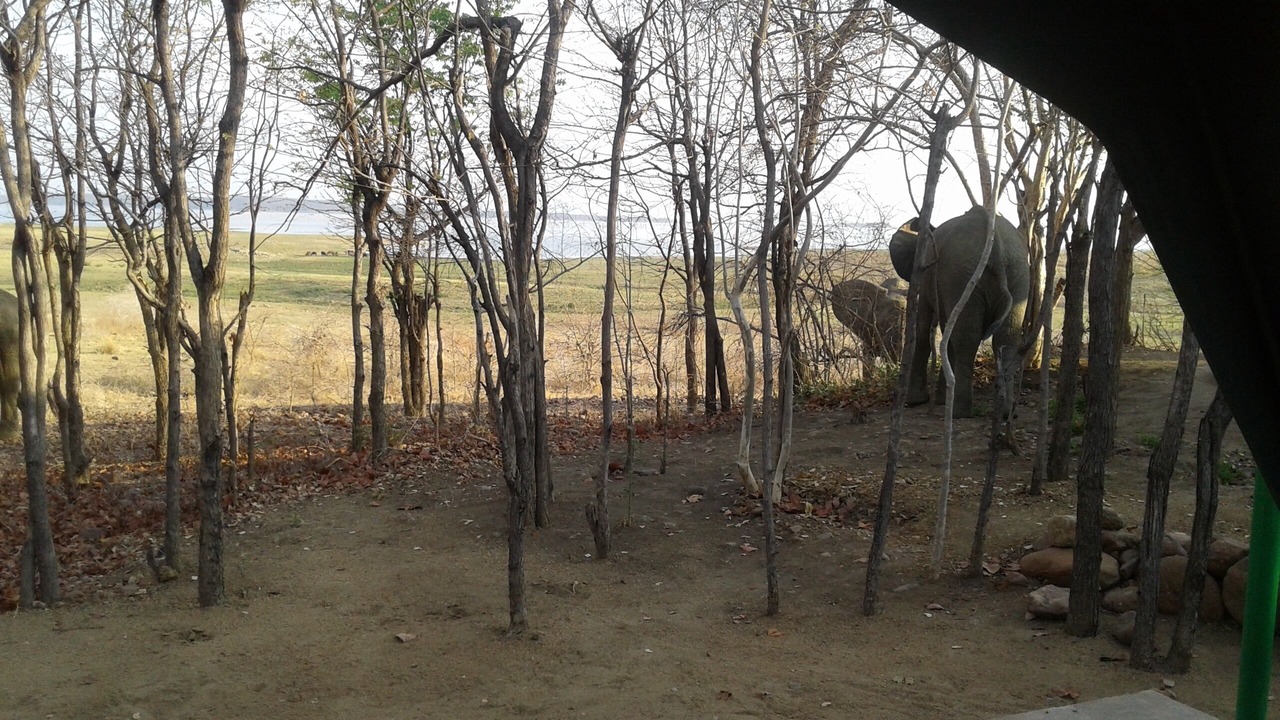 Photo of Outdoor in Kariba