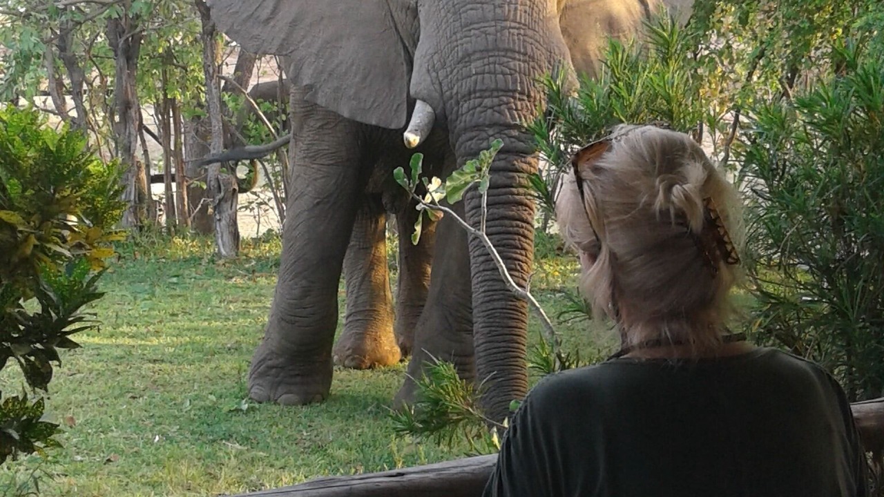 Photo of Others in Kariba