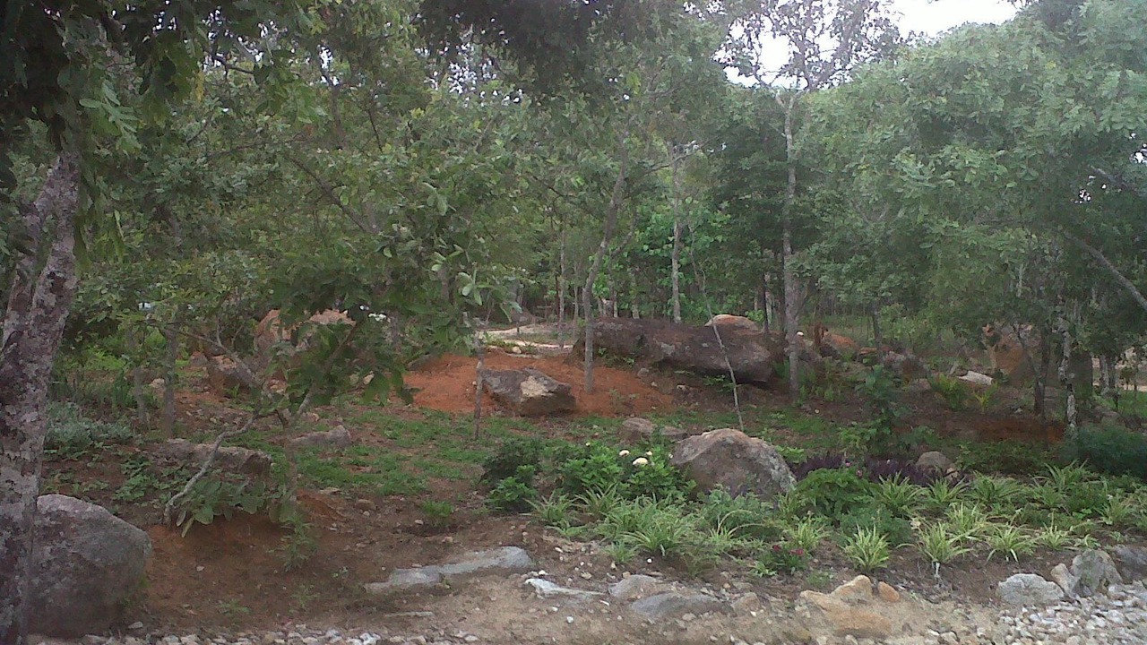 Photo of Outdoor in Ruwa