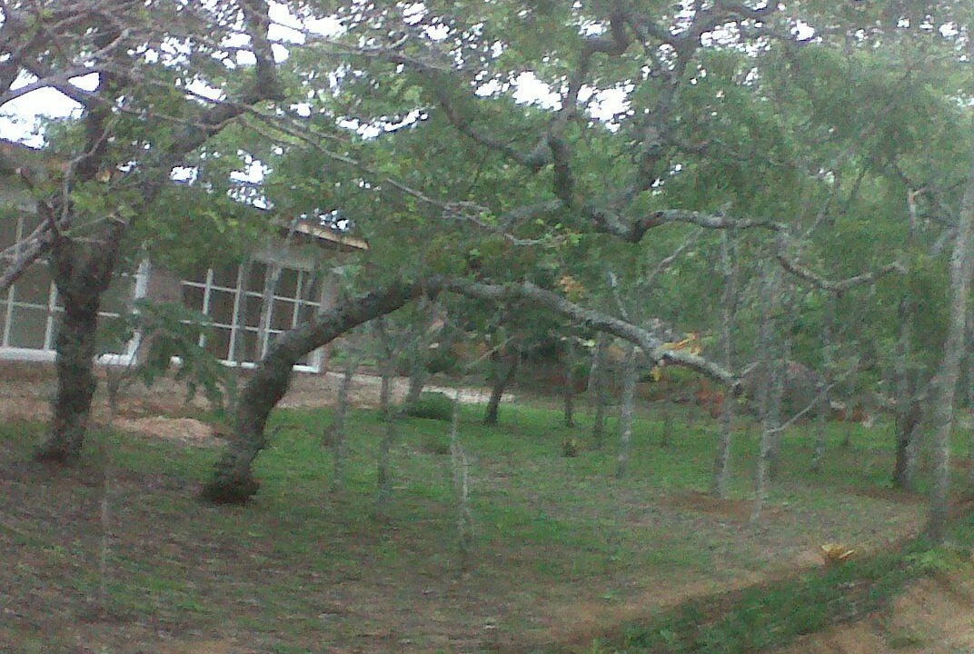 Photo of Outdoor in Ruwa