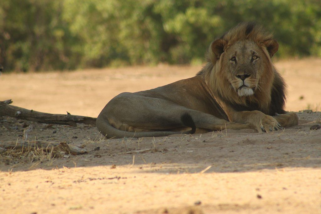 Photo of Others in Hurungwe