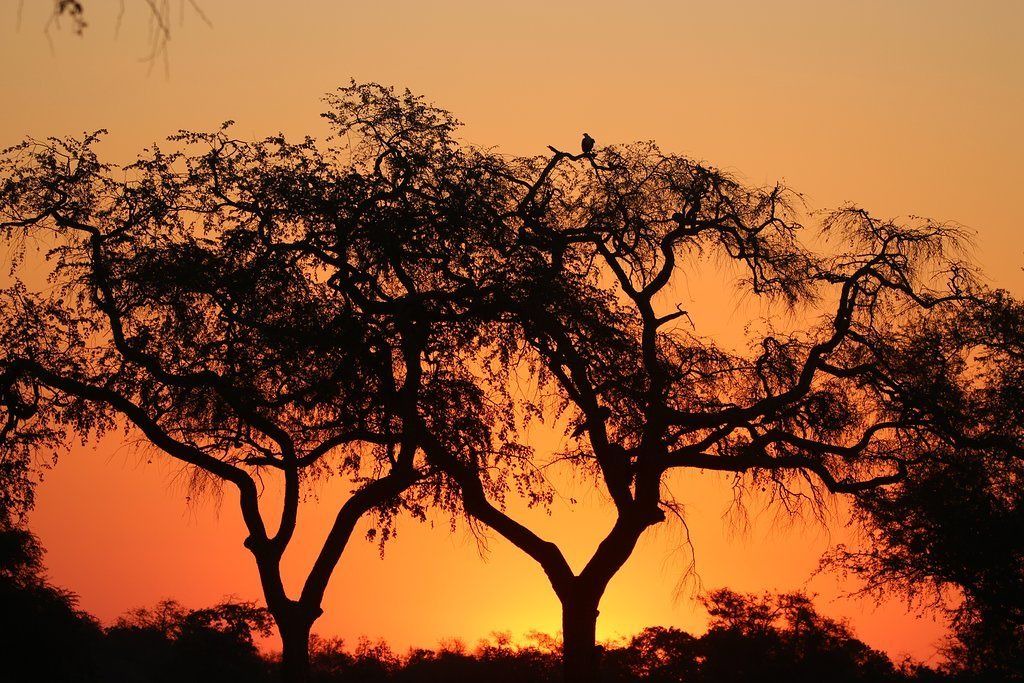 Photo of Outdoor in Hurungwe