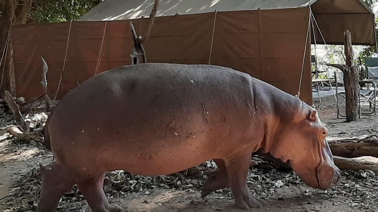 Photo of Others in Hurungwe