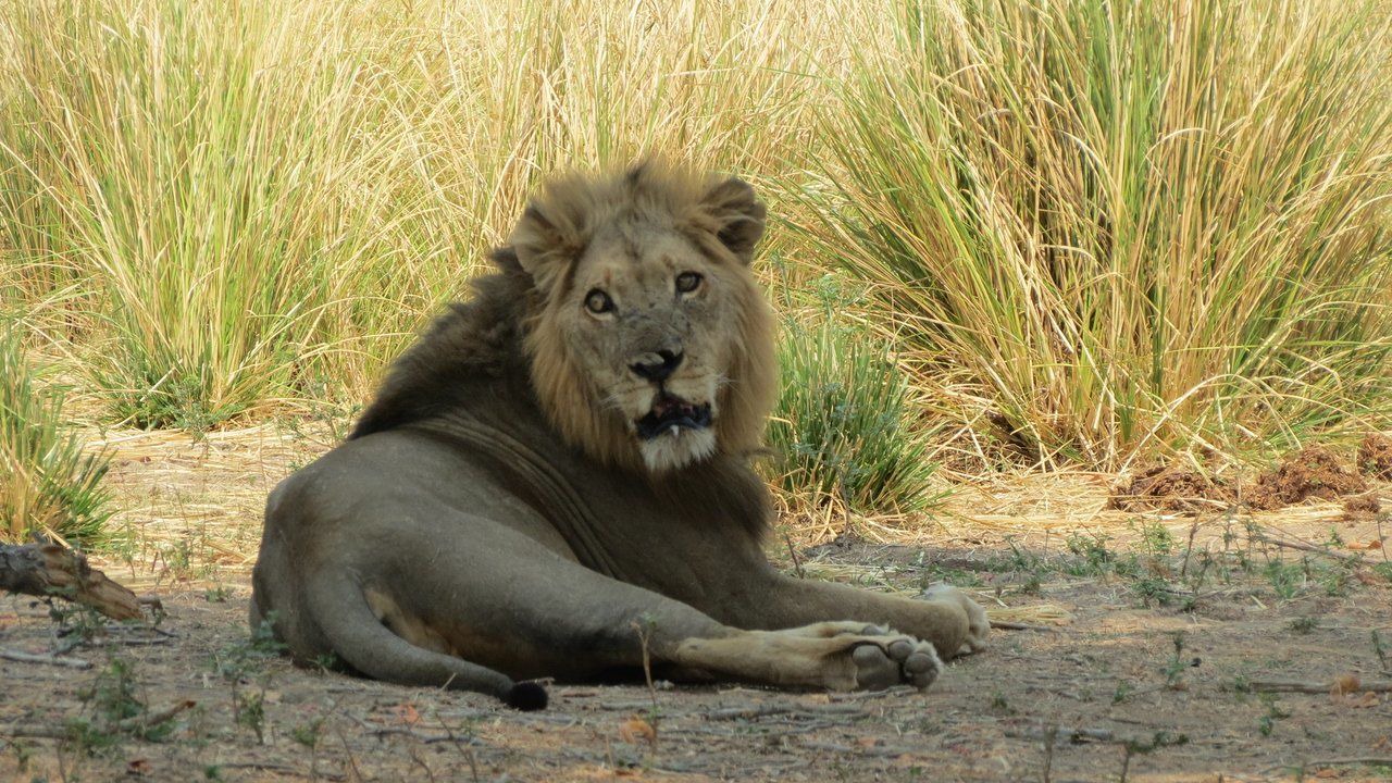 Photo of Others in Hurungwe