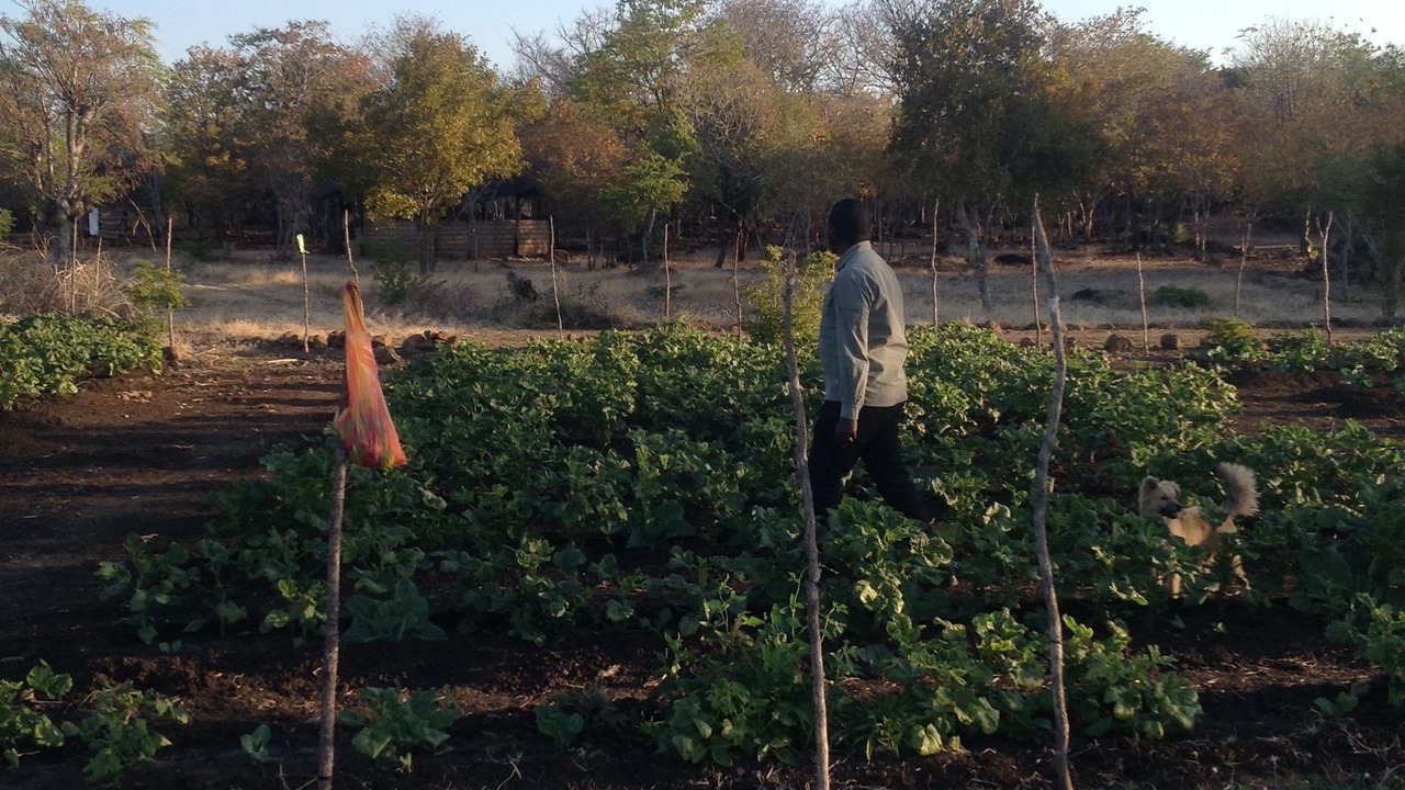 Photo of Outdoor in Kabwata