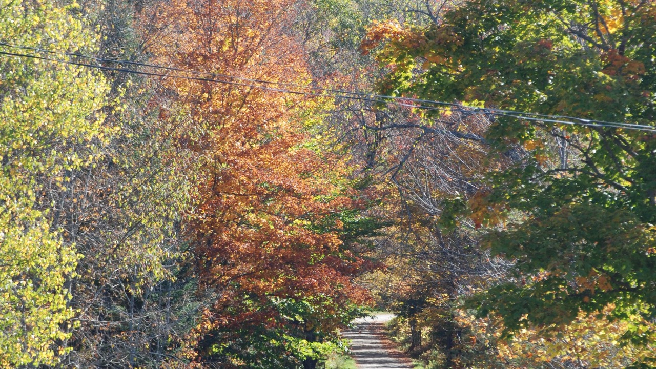 Photo of Outdoor in Granville