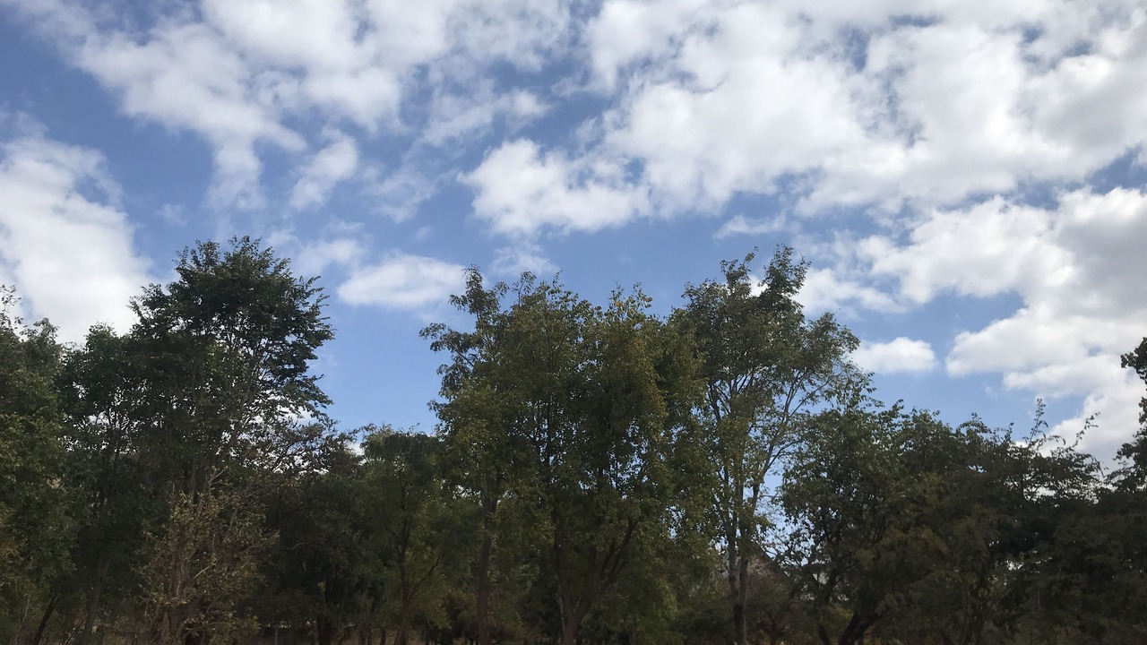 Photo of Outdoor in Chipata
