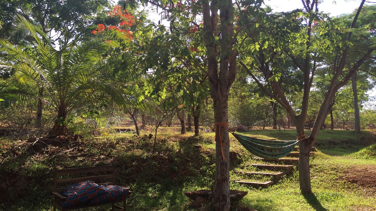 Photo of Others in Chipata