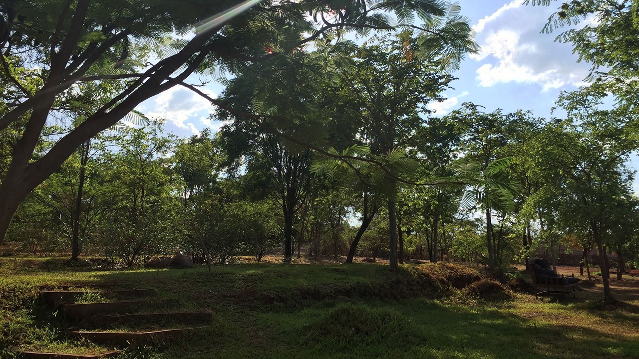 Photo of Others in Chipata