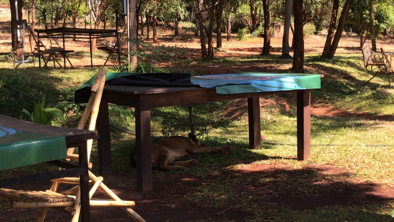 Photo of Outdoor in Chipata