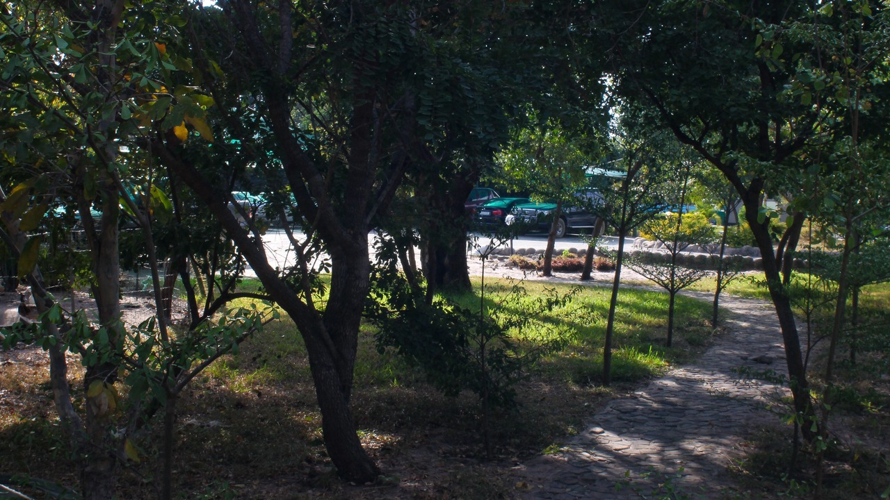 Photo of Outdoor in Mongu