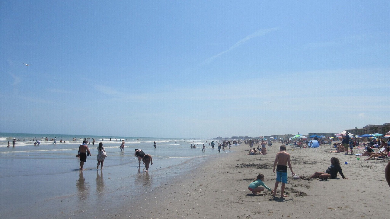 Photo of Others in Cape Caneveral Beach Gardens