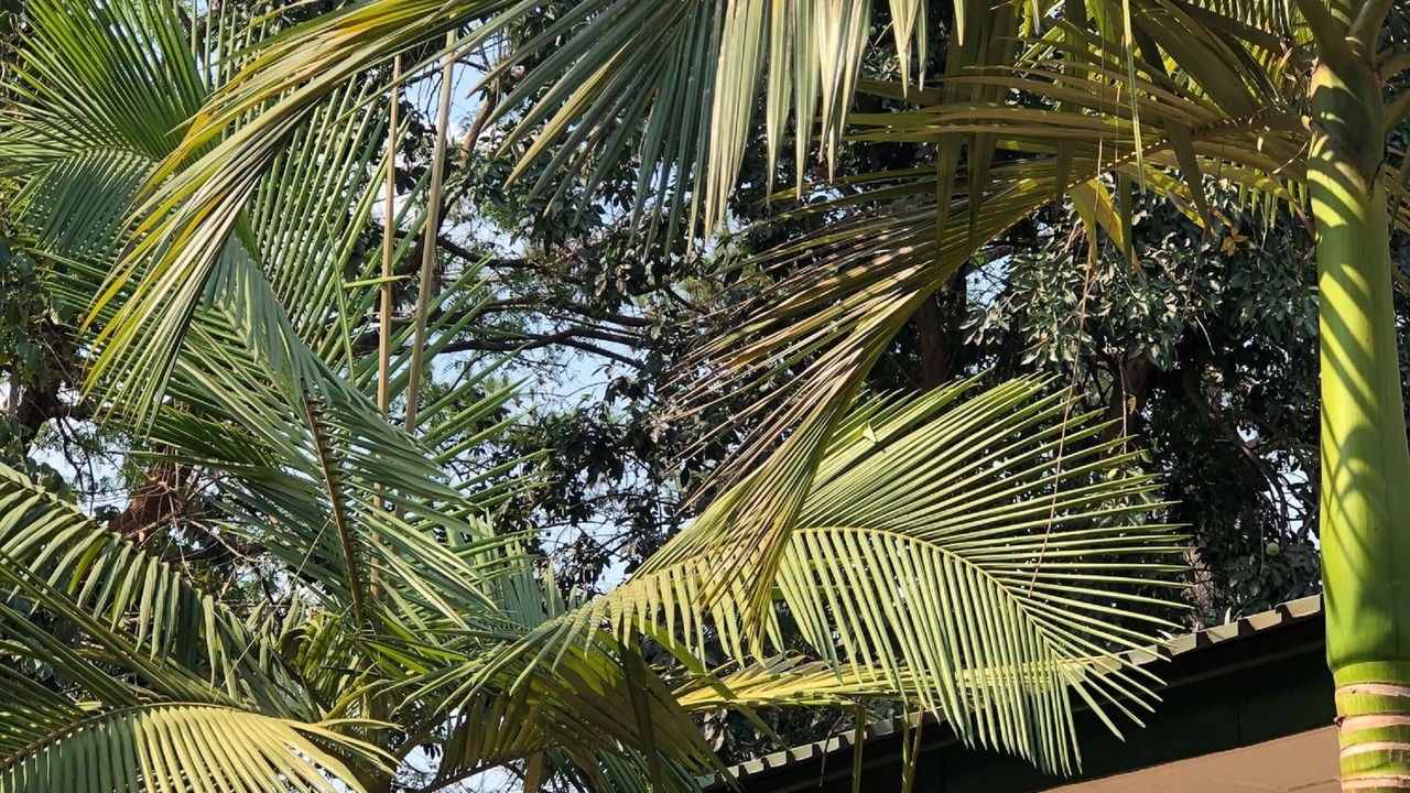 Photo of Outdoor in Kitwe