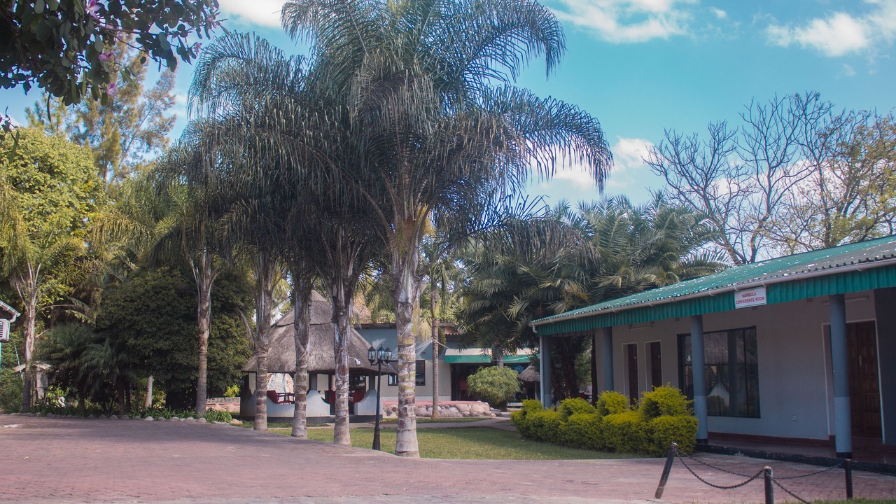 Photo of Others in Lusaka