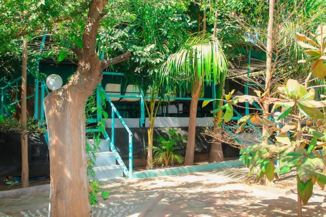 Photo of Outdoor in Kariba