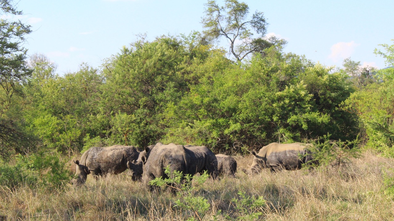 Photo of Others in Ndadza