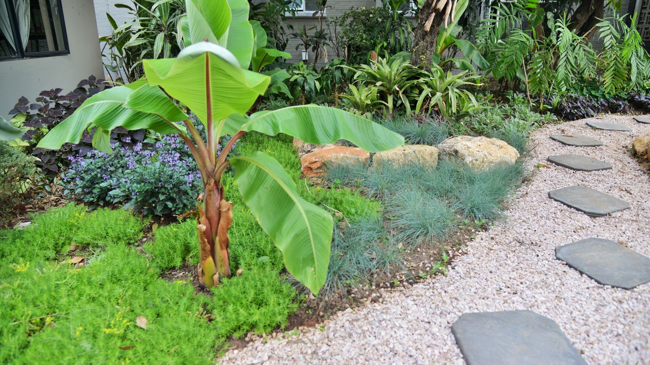Photo of Outdoor in Harare