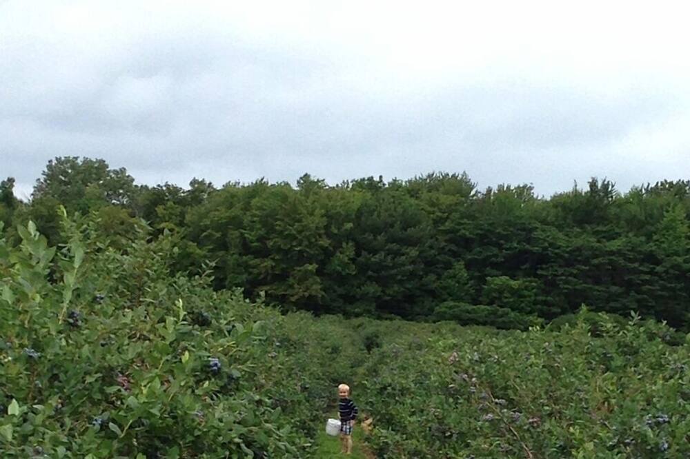 Photo of Others in Fennville