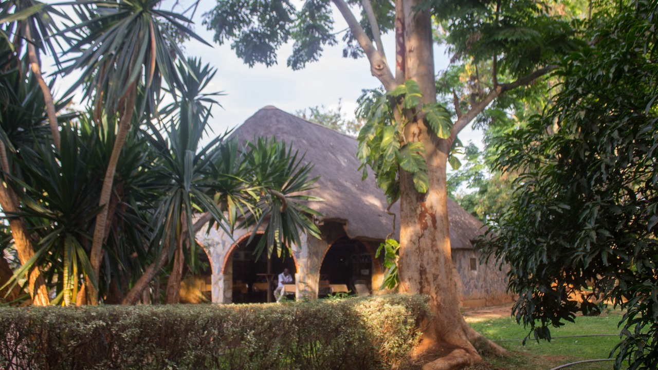 Photo of Outdoor in Lusaka
