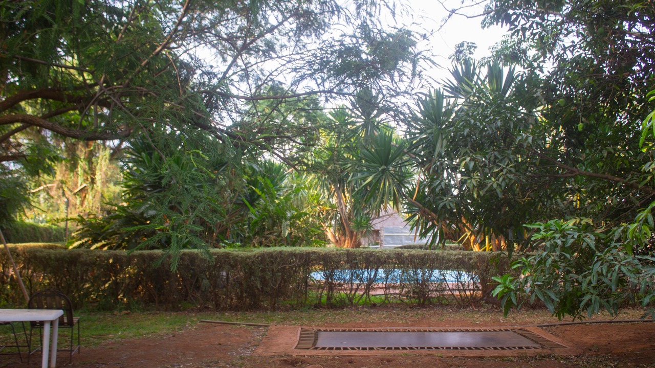 Photo of Patio Balcony in Lusaka