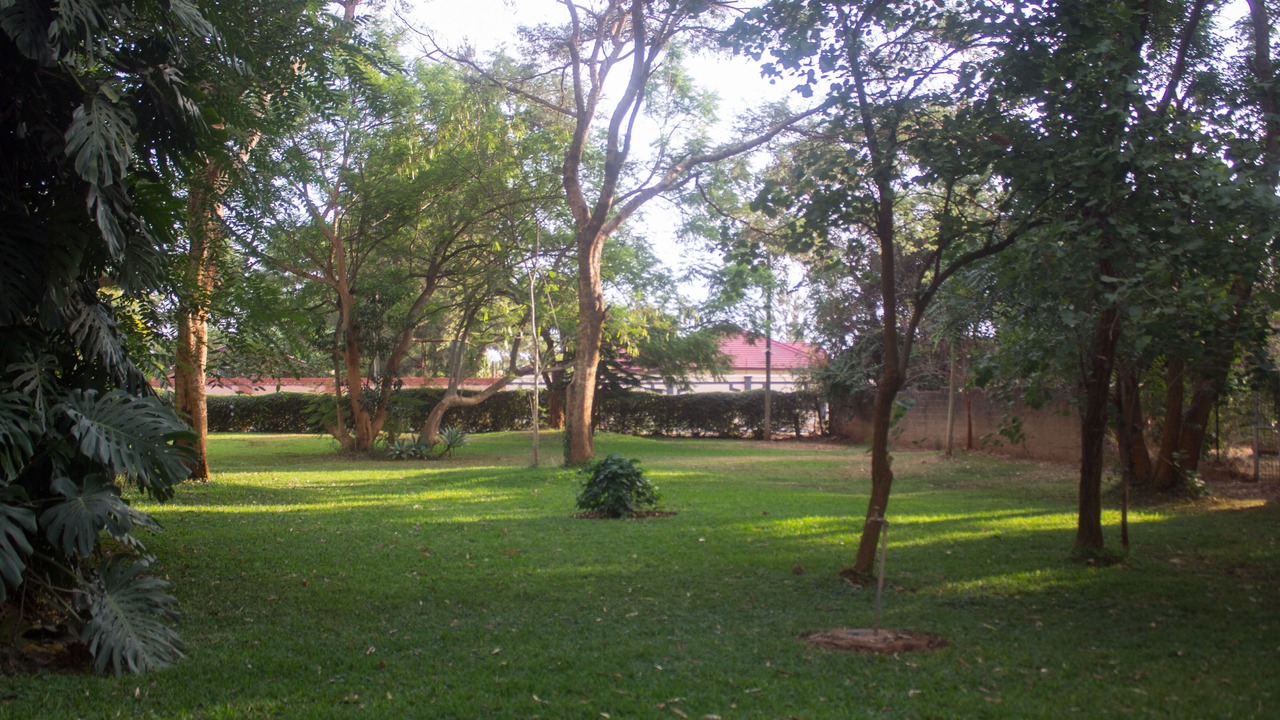 Photo of Outdoor in Lusaka