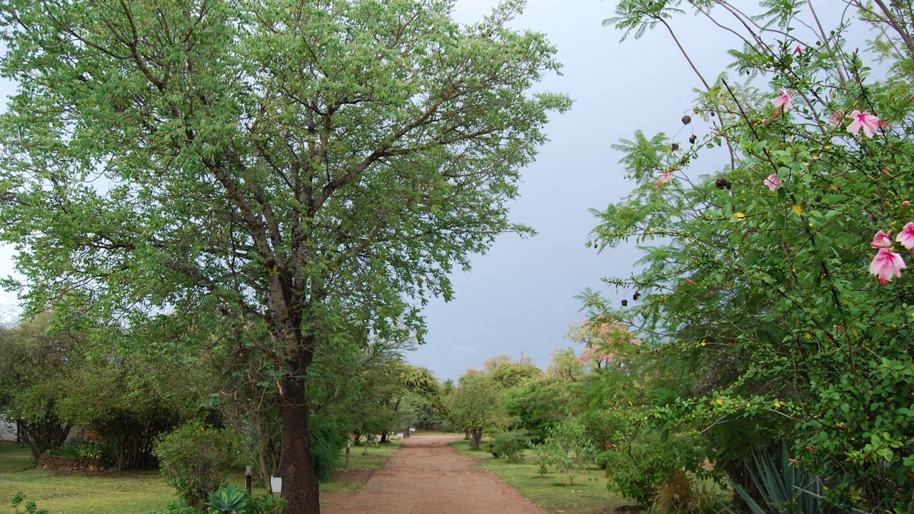 Photo of Outdoor in Bulawayo