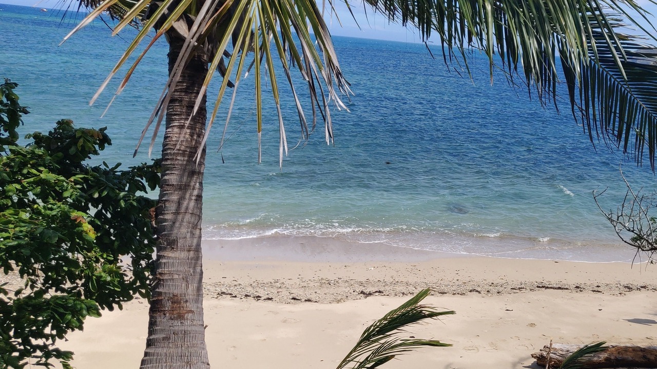 Photo of Others in Port Moresby
