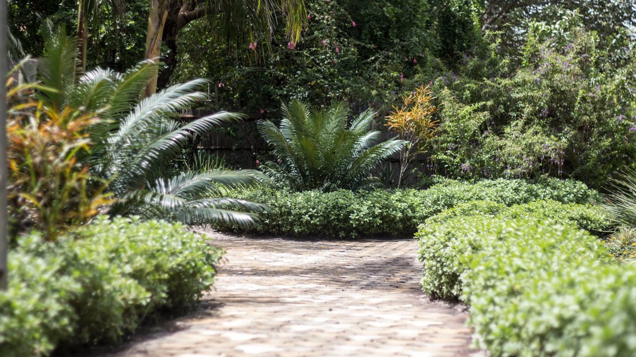 Photo of Outdoor in Mongu