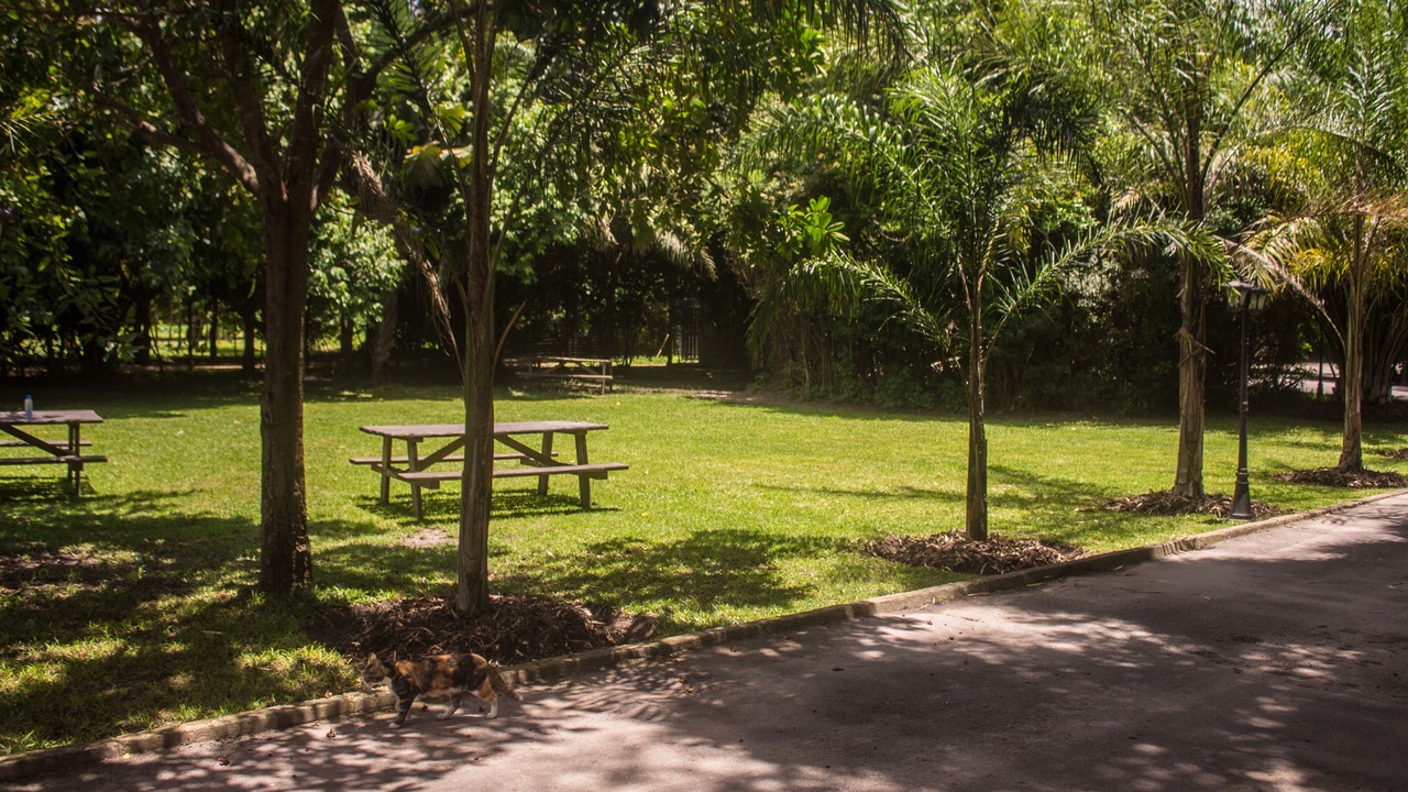 Photo of Outdoor in Lusaka