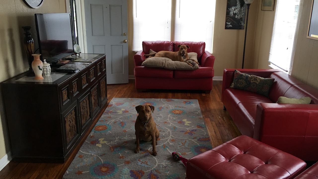 Photo of Others in Beacon Hill