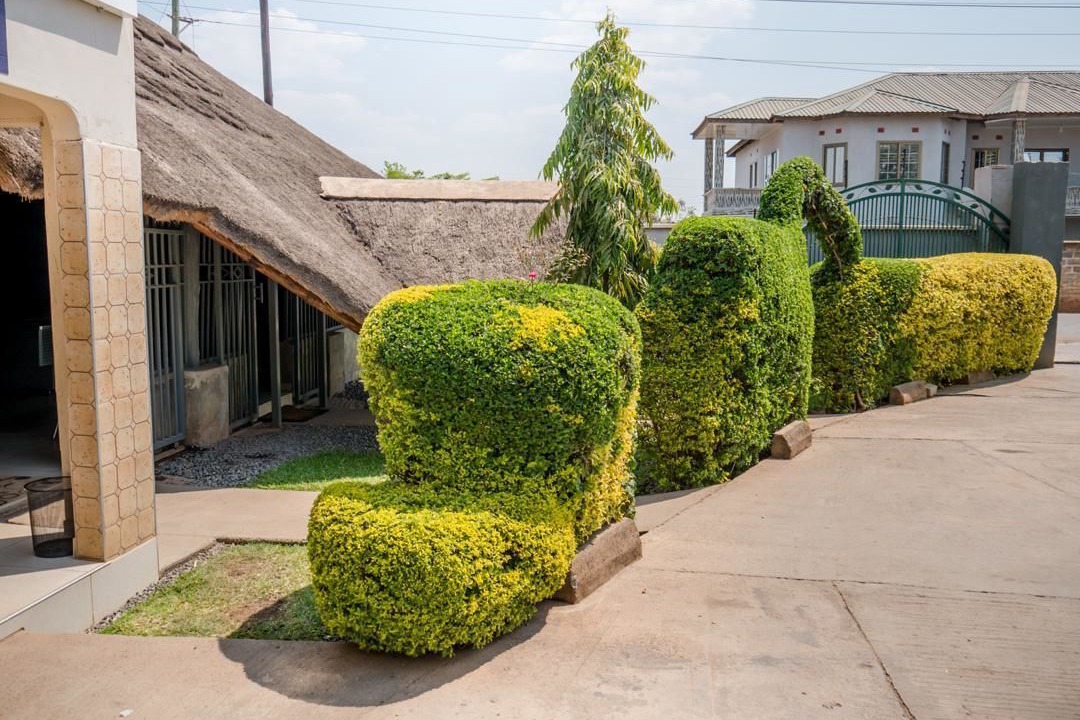 Photo of Outdoor in Ndola