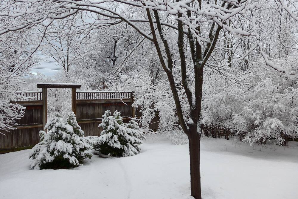 Photo of Others in Middlebury
