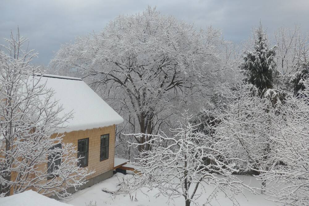 Photo of Others in Middlebury