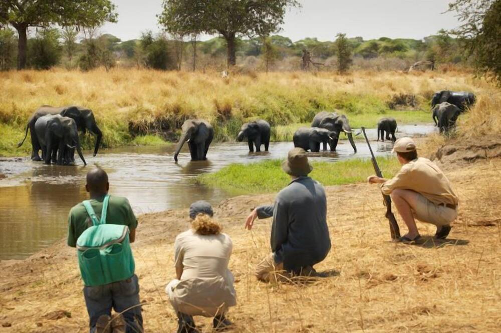 Photo of Others in Kakumbi