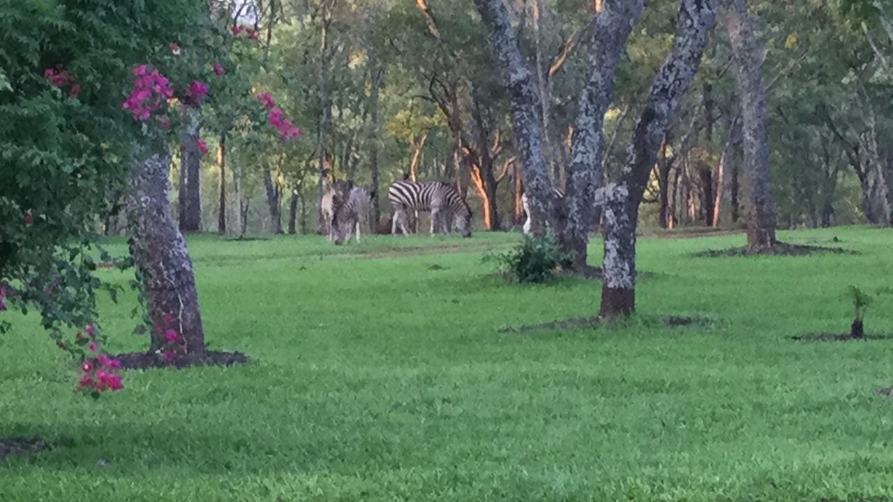 Photo of Outdoor in Harare