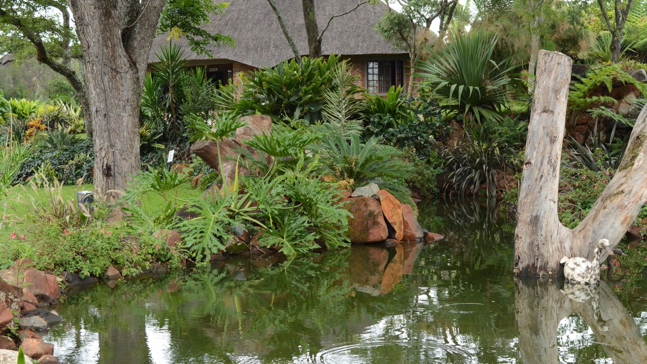 Photo of Outdoor in Harare