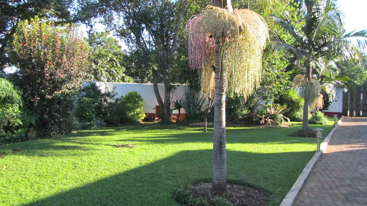 Photo of Outdoor in Harare