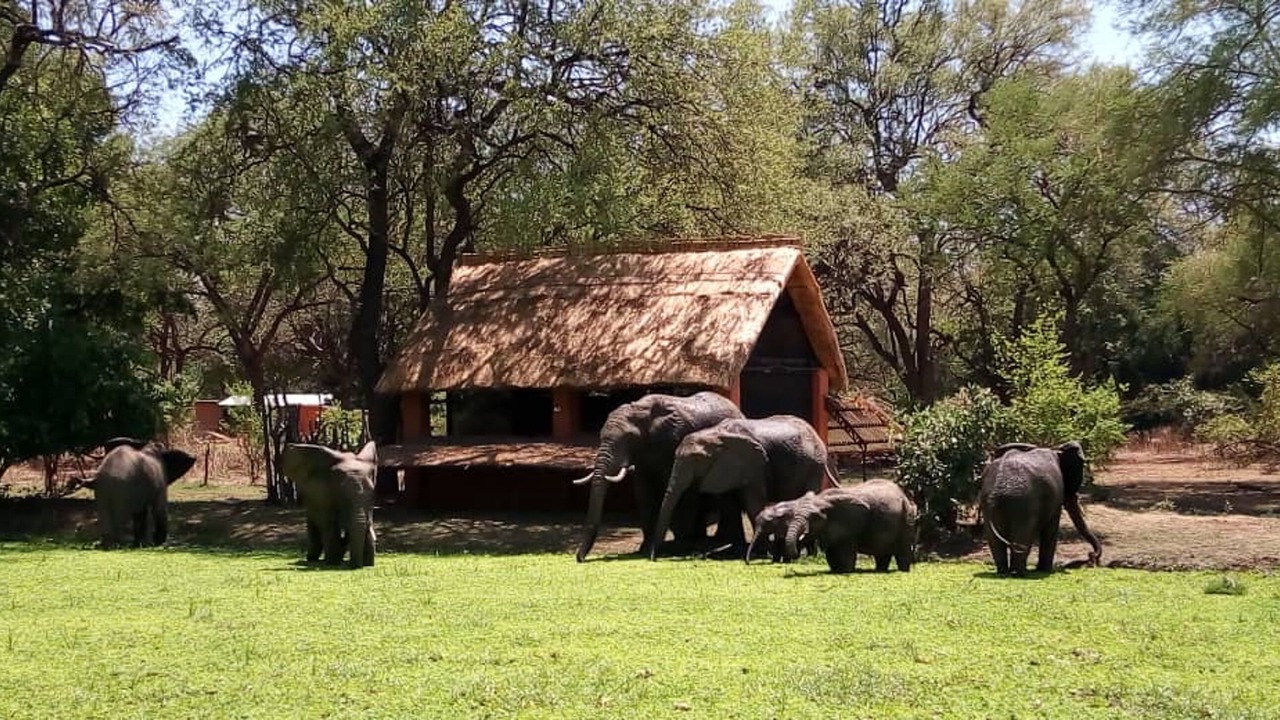 Photo of Others in Kakumbi